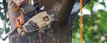 Soil Testing and Treatment in Hazard, KY